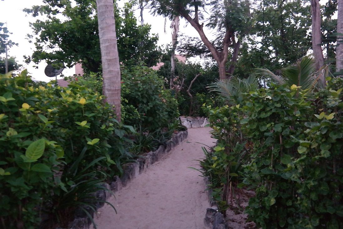 beachcomber3