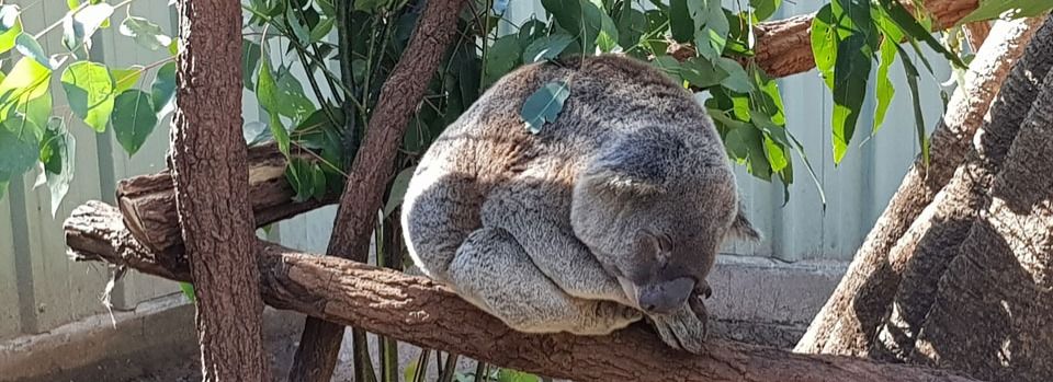 Brisbane, Australia