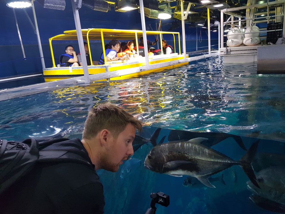 chrisaquarium