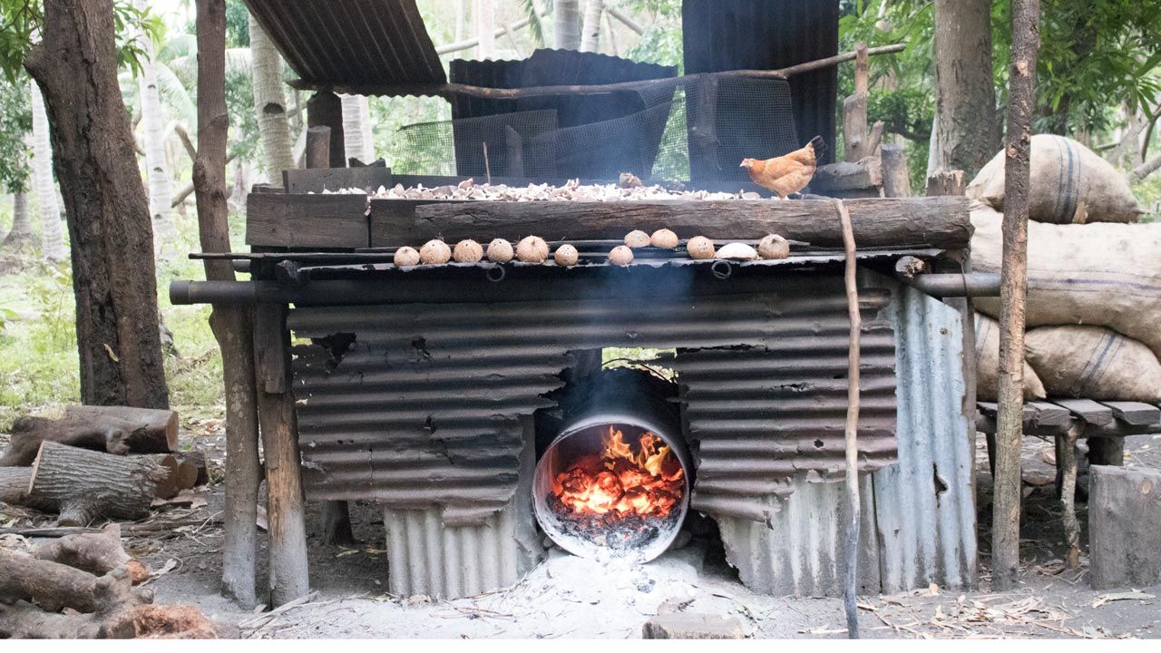 kokos