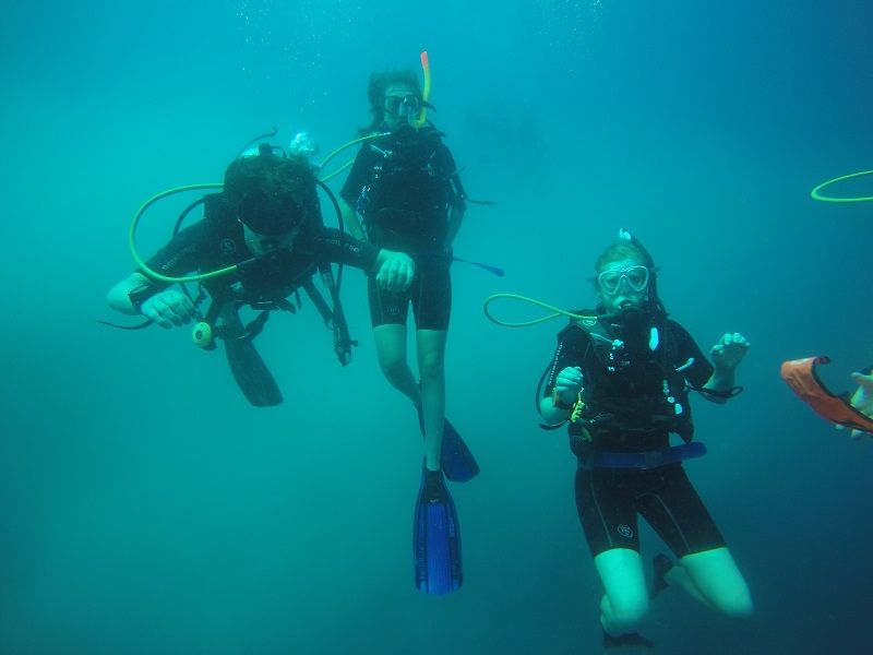Mantadive9