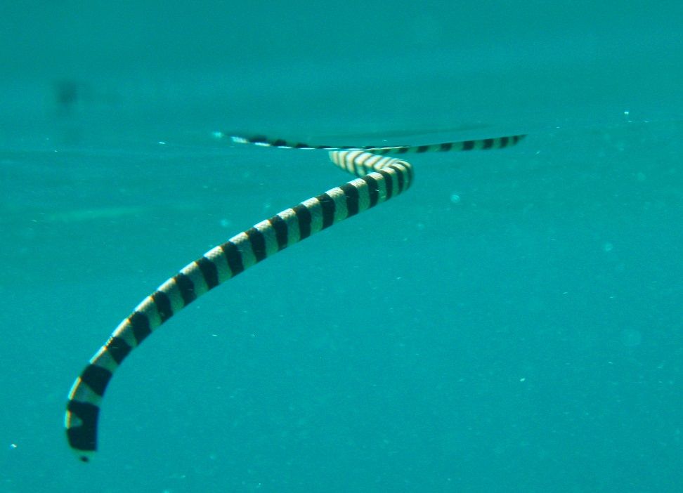 p3030411