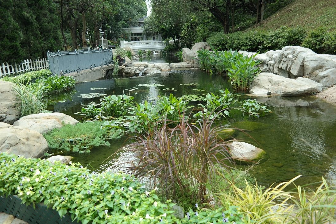 hongkong10