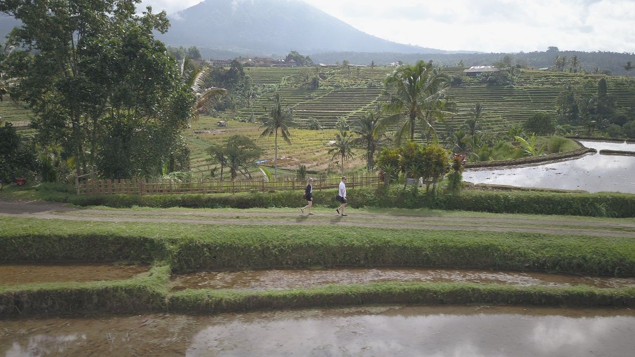 DJI_0040