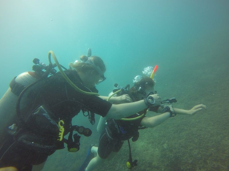 Mantadive14