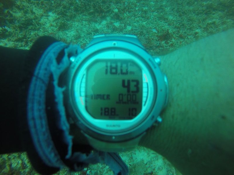 Mantadive15