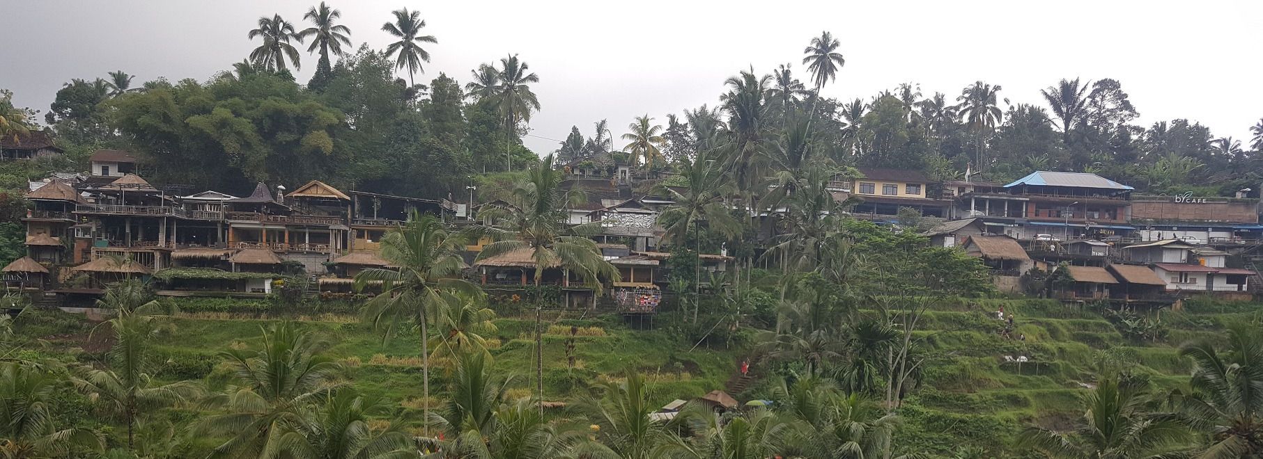 Tegallalang terraces Bali