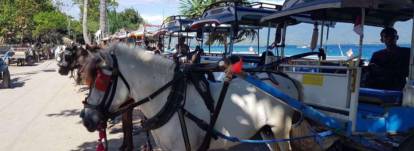 Travelling to Gili Air