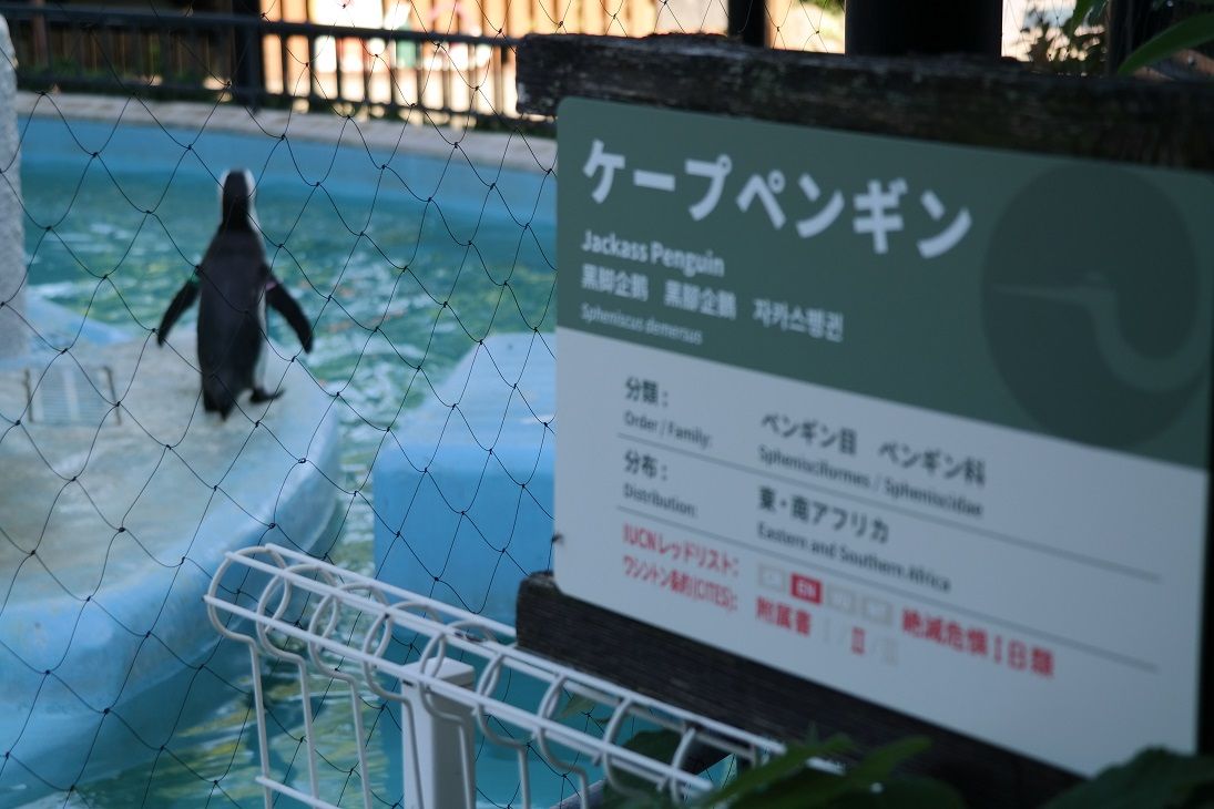 uenozoo2